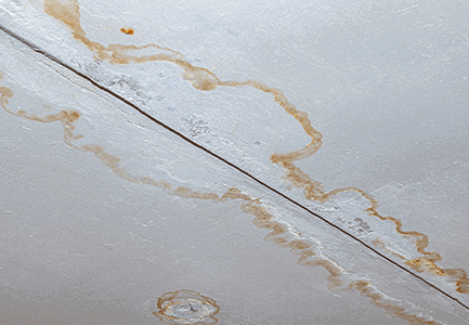 leaking-roof leaking-roof